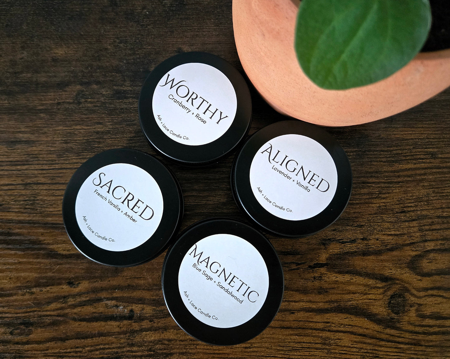 The Serenity Discovery Set